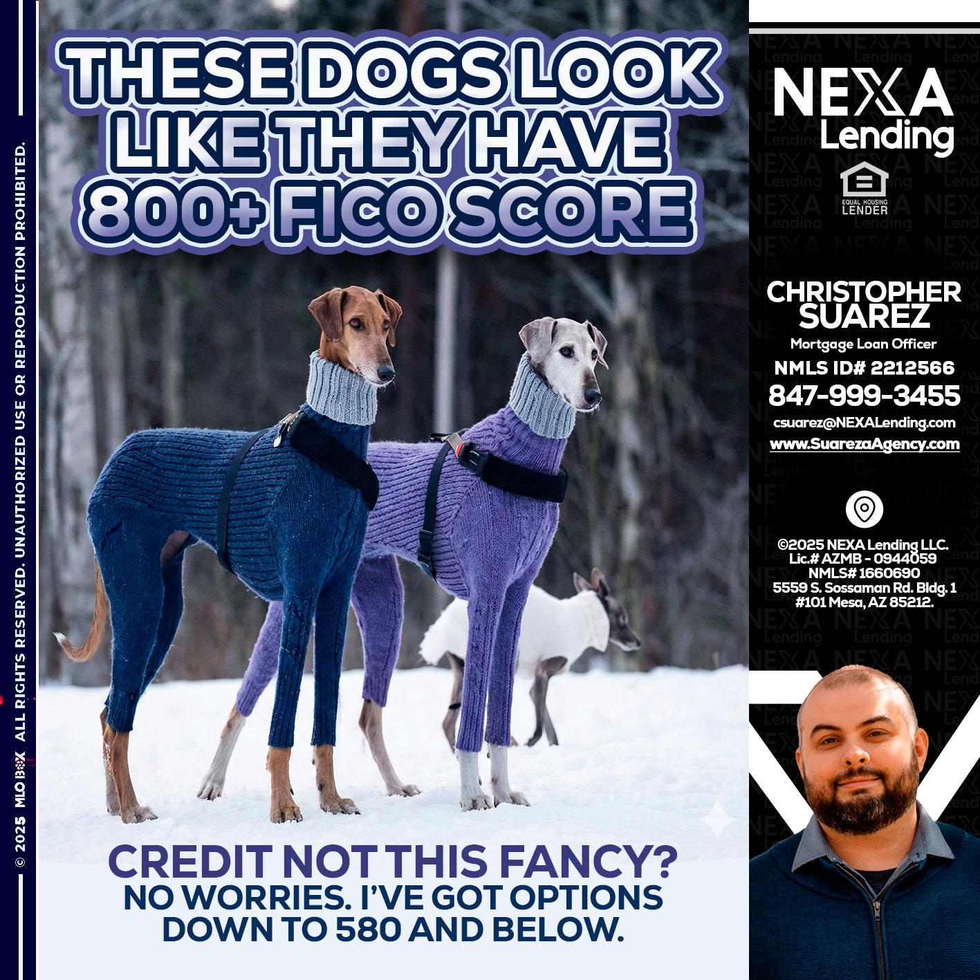 THESE DOGS LOOK - Christopher Suarez -Mortgage Loan Officer Coach